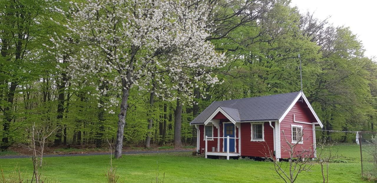 Lill Hagahus, Soederasens Nationalpark Villa Kågeröd Buitenkant foto