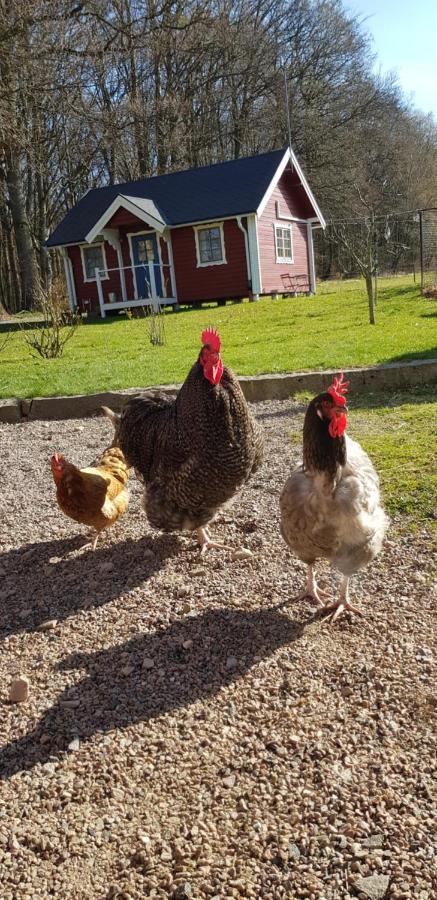 Lill Hagahus, Soederasens Nationalpark Villa Kågeröd Buitenkant foto