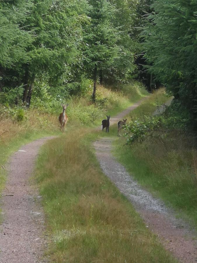 Lill Hagahus, Soederasens Nationalpark Villa Kågeröd Buitenkant foto