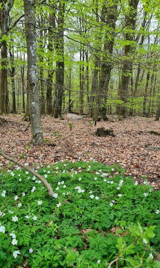 Lill Hagahus, Soederasens Nationalpark Villa Kågeröd Buitenkant foto