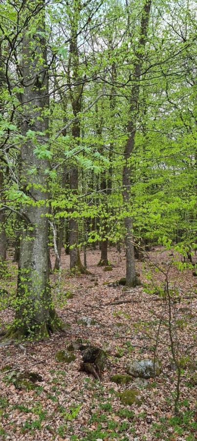 Lill Hagahus, Soederasens Nationalpark Villa Kågeröd Buitenkant foto